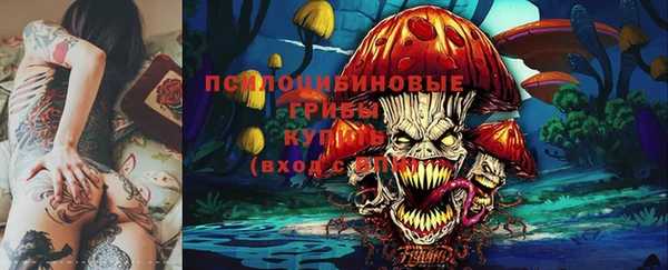 ешки Аркадак