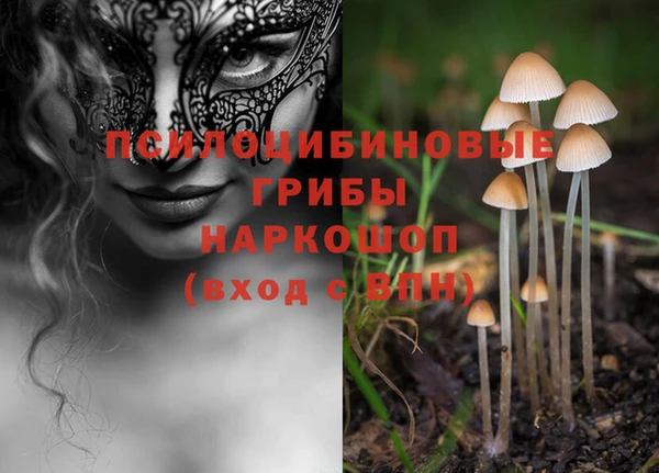 ешки Аркадак